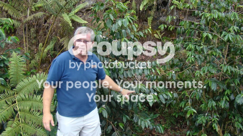 DSC08694.jpg image by rons48